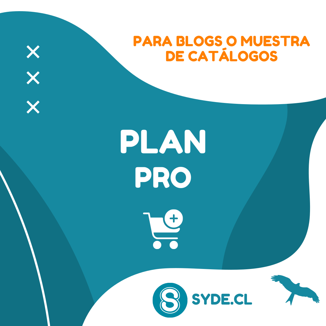 SYDE Plan Pro 2022 Plan Pro - Imagen 1