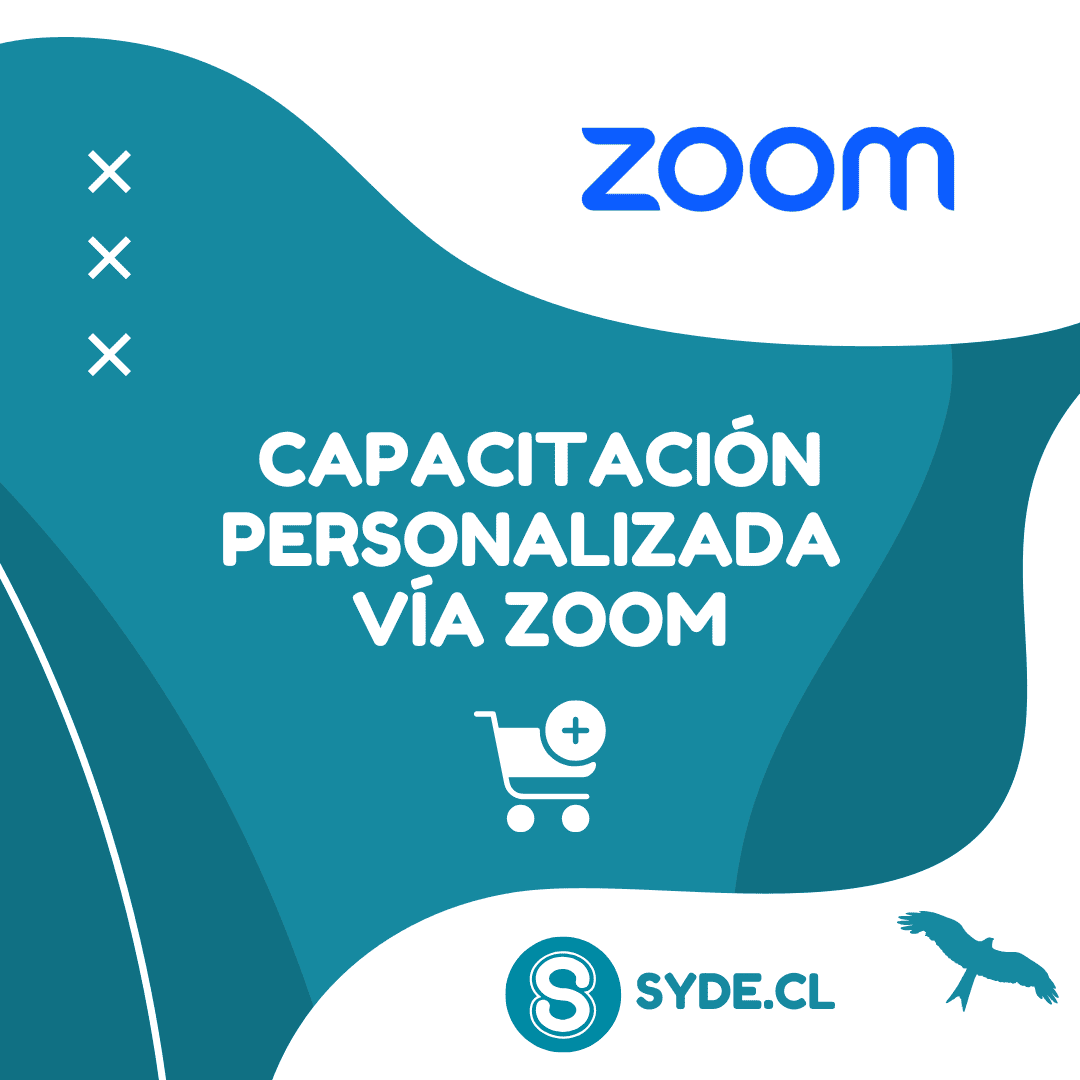 Capacitación personalizada vía Zoom Capacitación personalizada vía Zoom - Imagen 1
